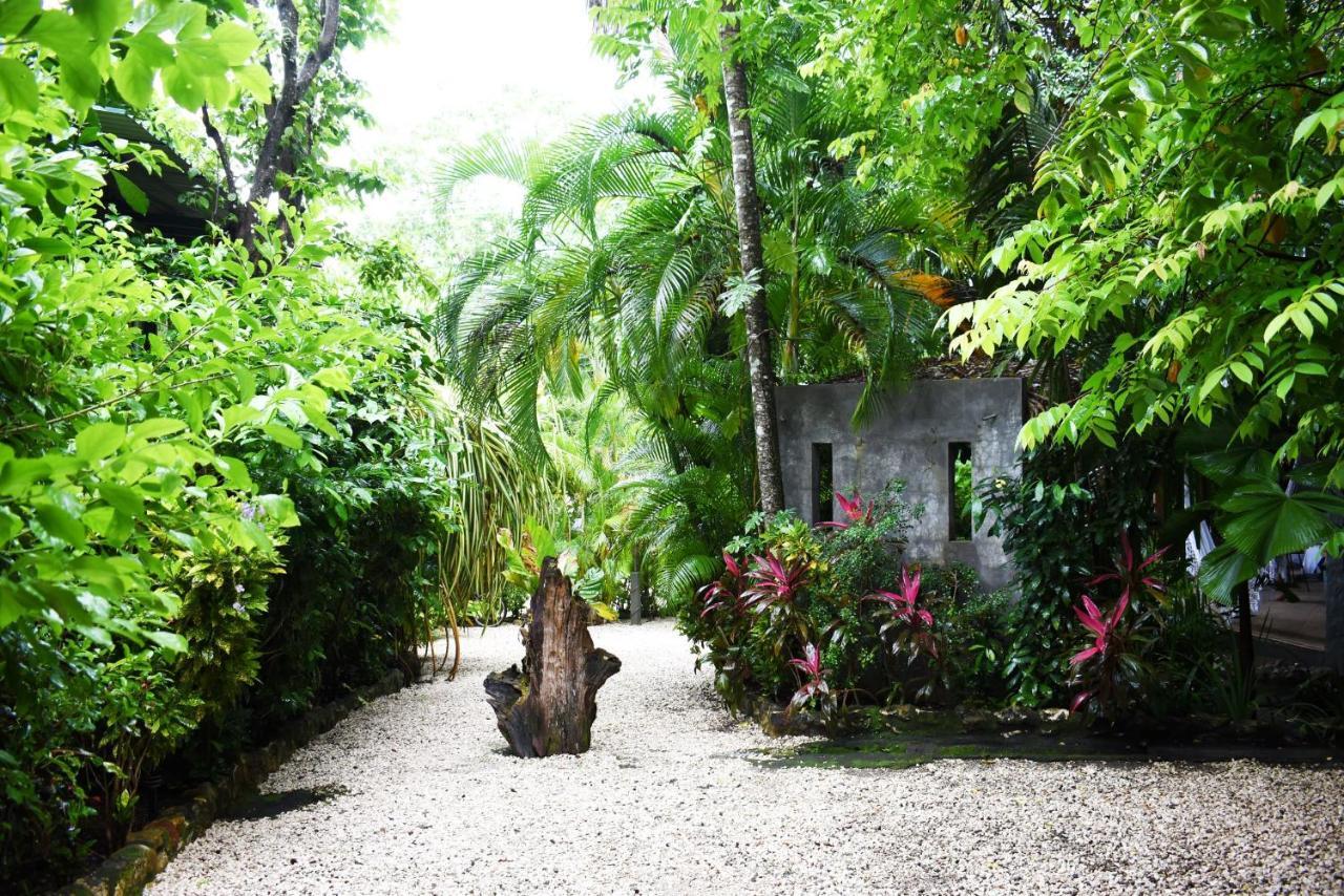 Pachamama Lodge Playa Santa Teresa  Exterior photo