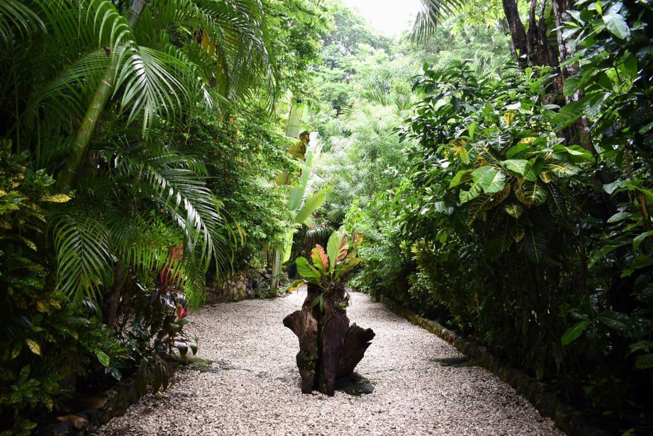 Pachamama Lodge Playa Santa Teresa  Exterior photo